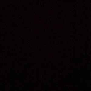 Meet your Posher, Travis